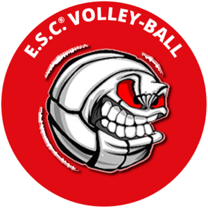 Volley-Ball
